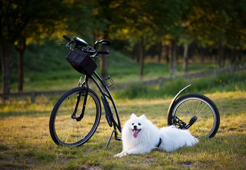 Tips for a greener lifestyle